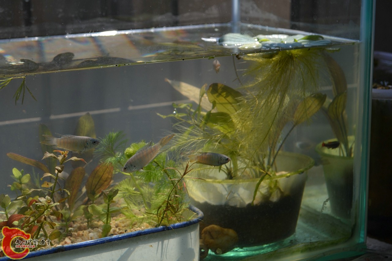 20111018-1554.jpg