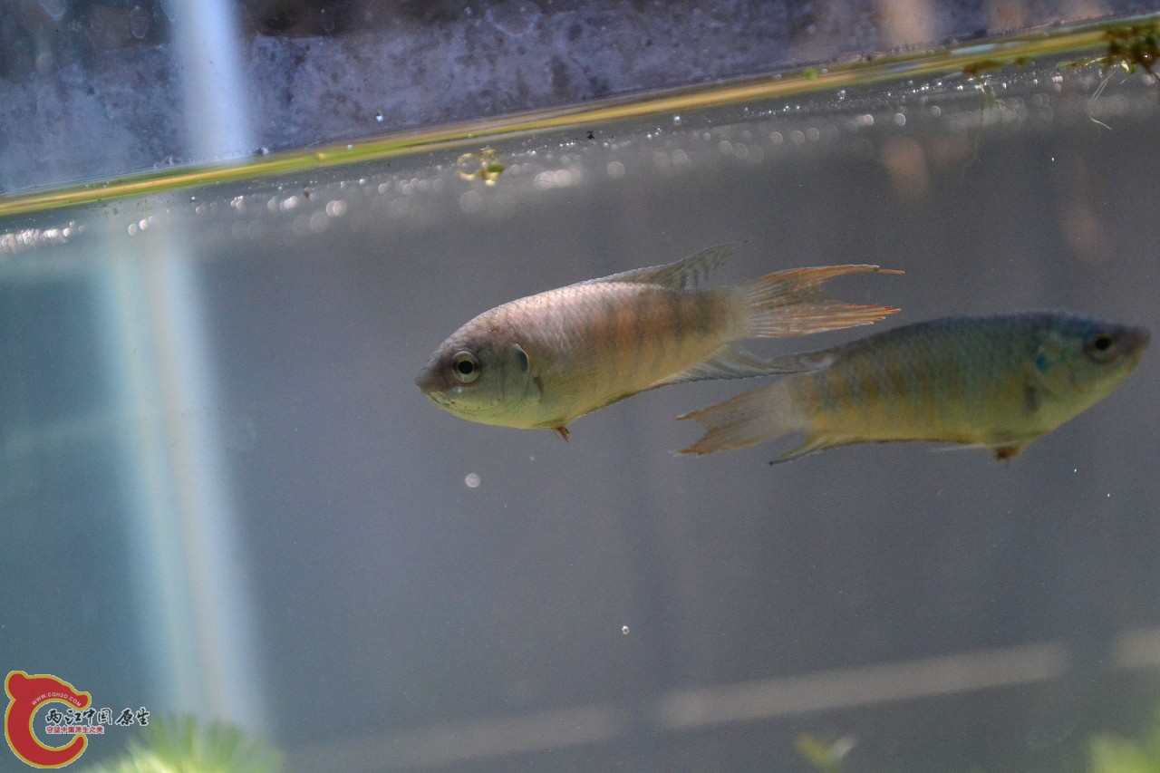 20111018-1555.jpg