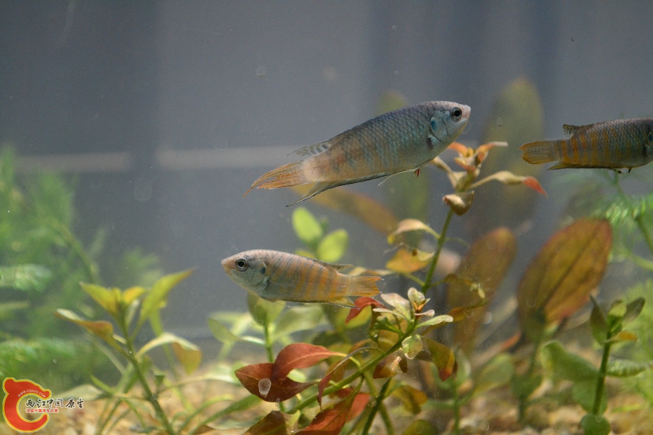 20111018-1556.jpg