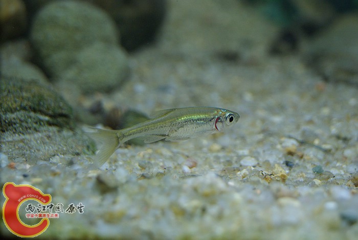 DSC09525.JPG