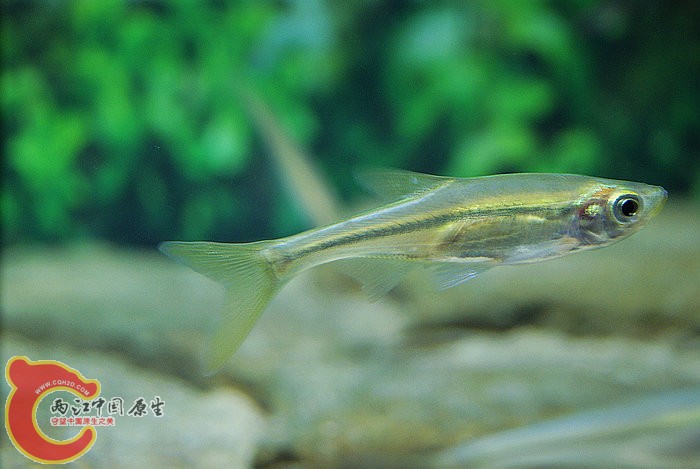DSC09416.JPG