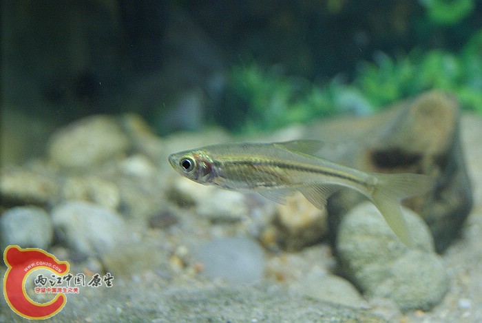 DSC09492.JPG