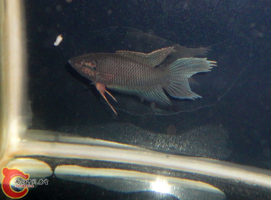DSC07956.JPG