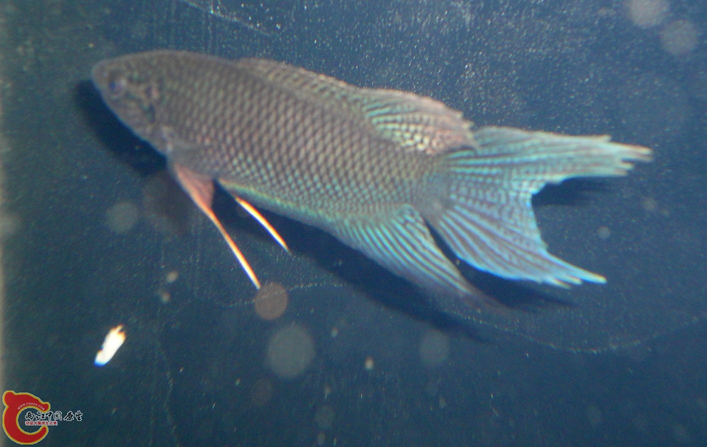DSC07957.JPG