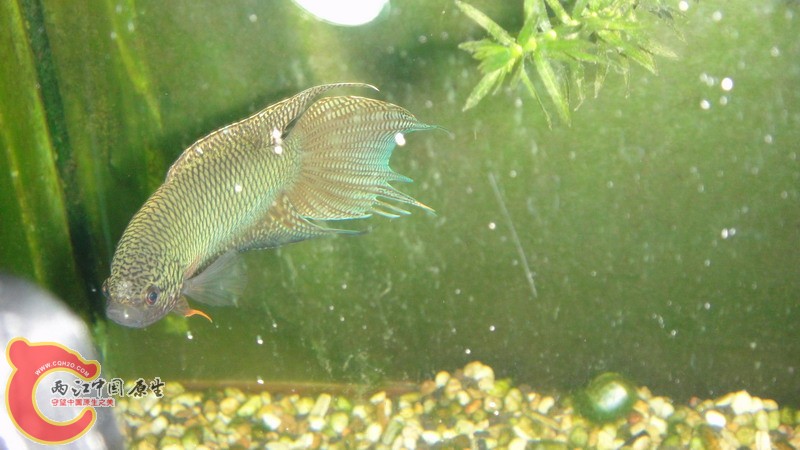 DSC07489_缩小大小.JPG