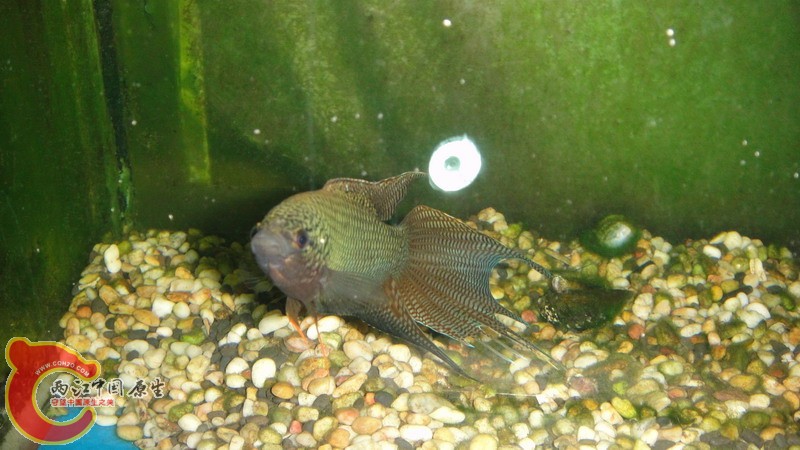 DSC07493_缩小大小.JPG