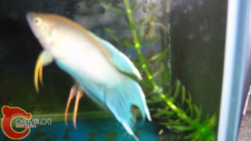 DSC07516_缩小大小.JPG