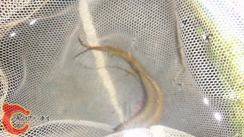 DSC07520_缩小大小.JPG