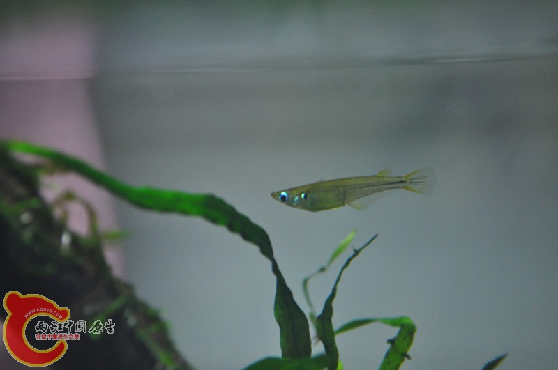 DSC_0181.JPG