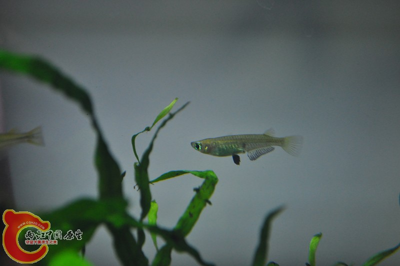 DSC_0193.JPG