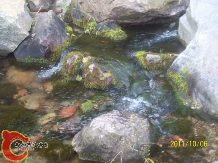 还是MOSS