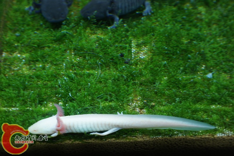 DSC06952.JPG