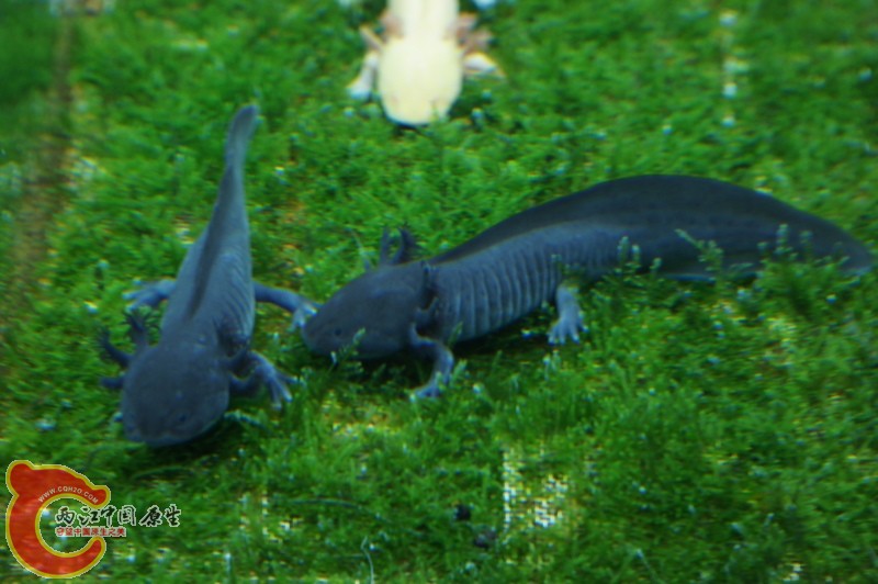 DSC06953.JPG