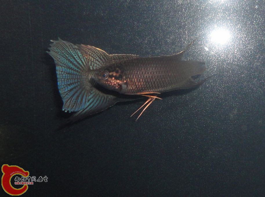 DSC08070.JPG