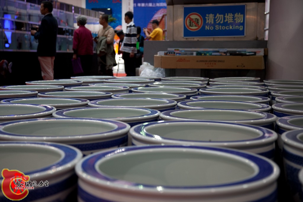 shanghai-17.jpg