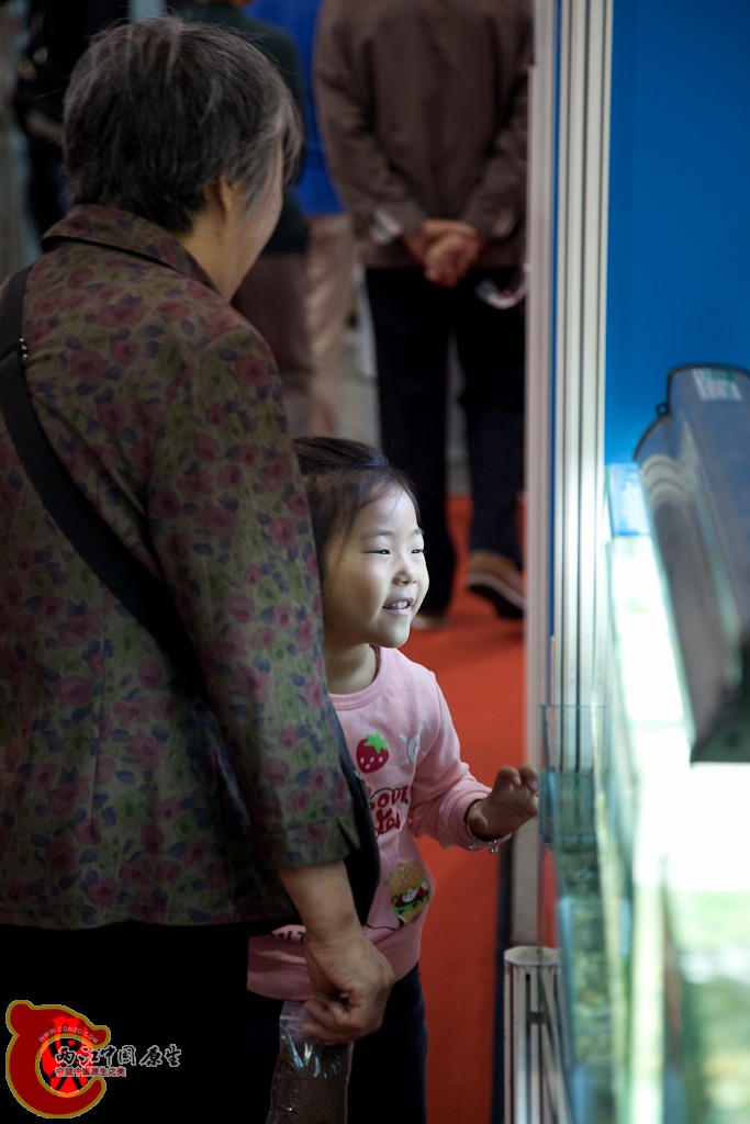 shanghai-21.jpg