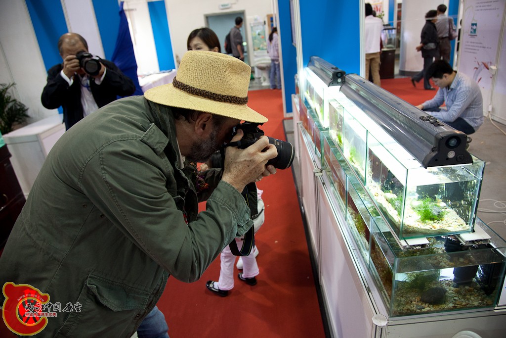 shanghai-23.jpg