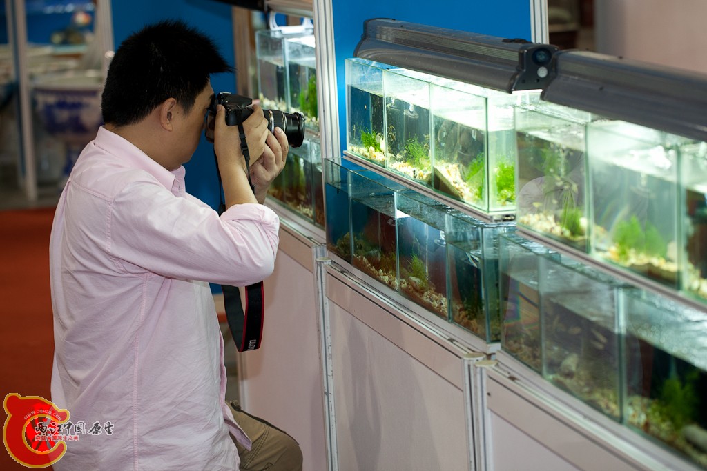 shanghai-24.jpg