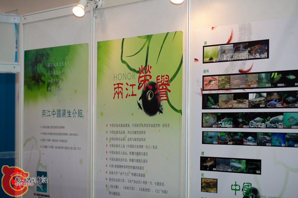 shanghai-25.jpg