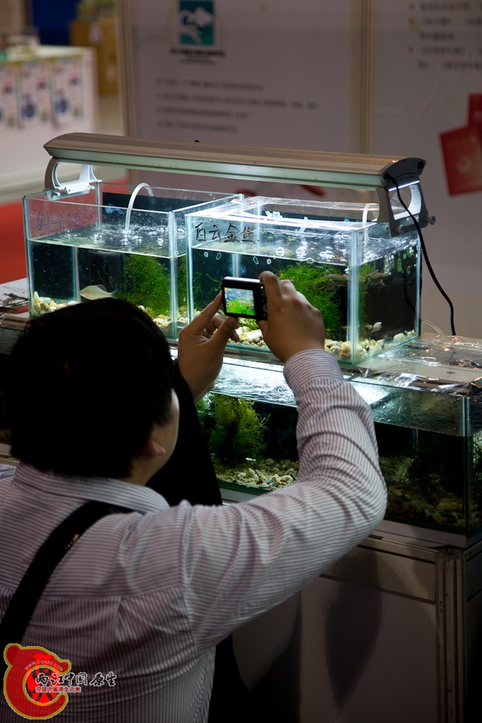 shanghai-31.jpg
