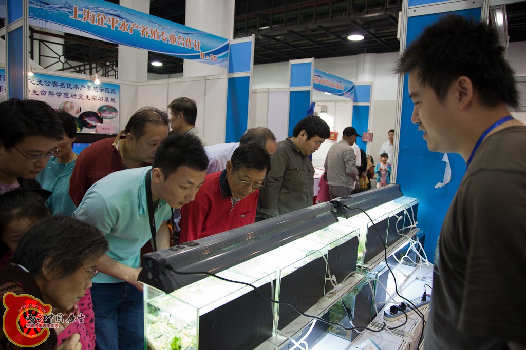 shanghai-32.jpg