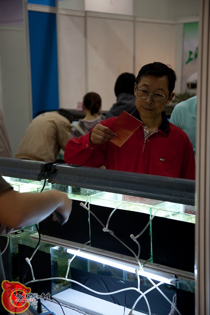 shanghai-34.jpg