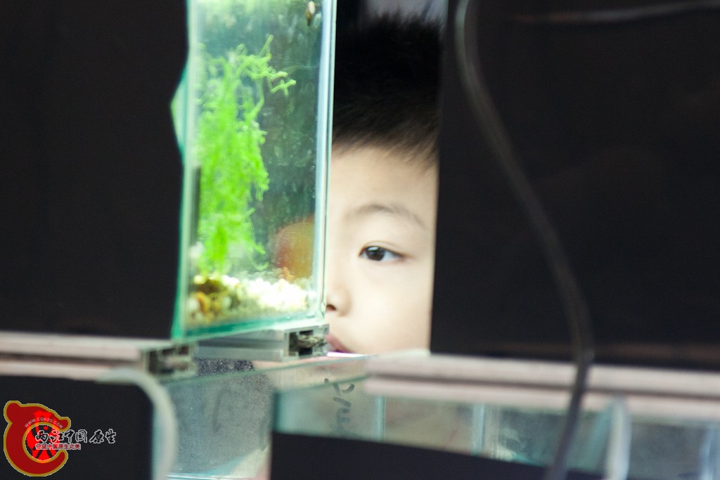shanghai-35.jpg