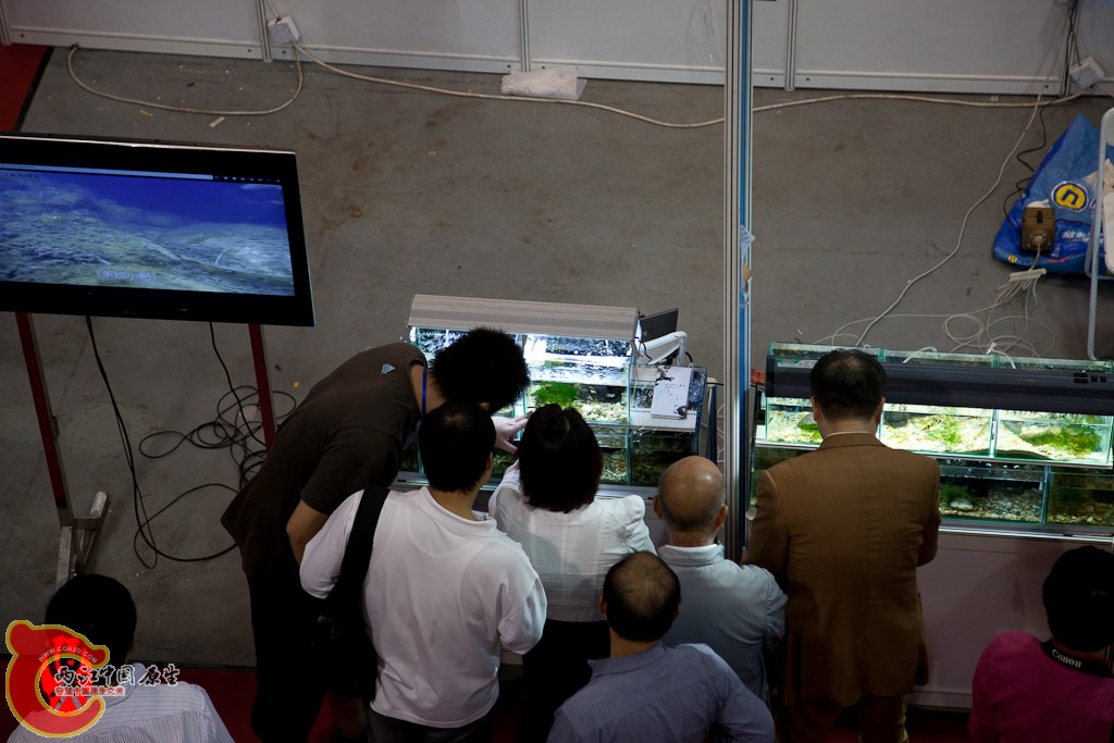 shanghai-43.jpg
