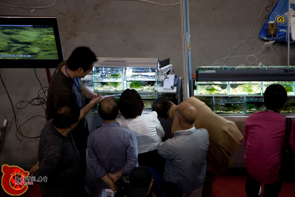 shanghai-44.jpg