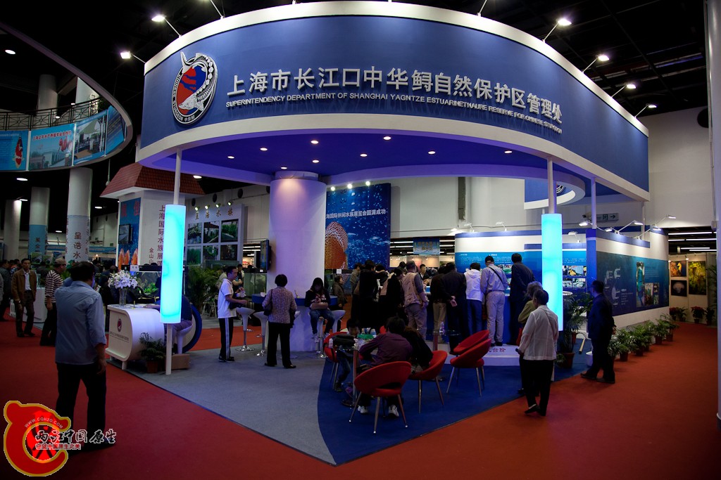 shanghai-48.jpg