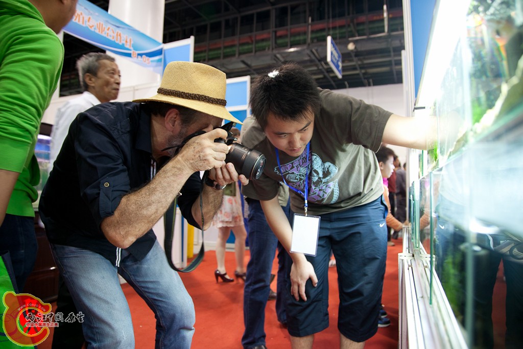 shanghai-50.jpg