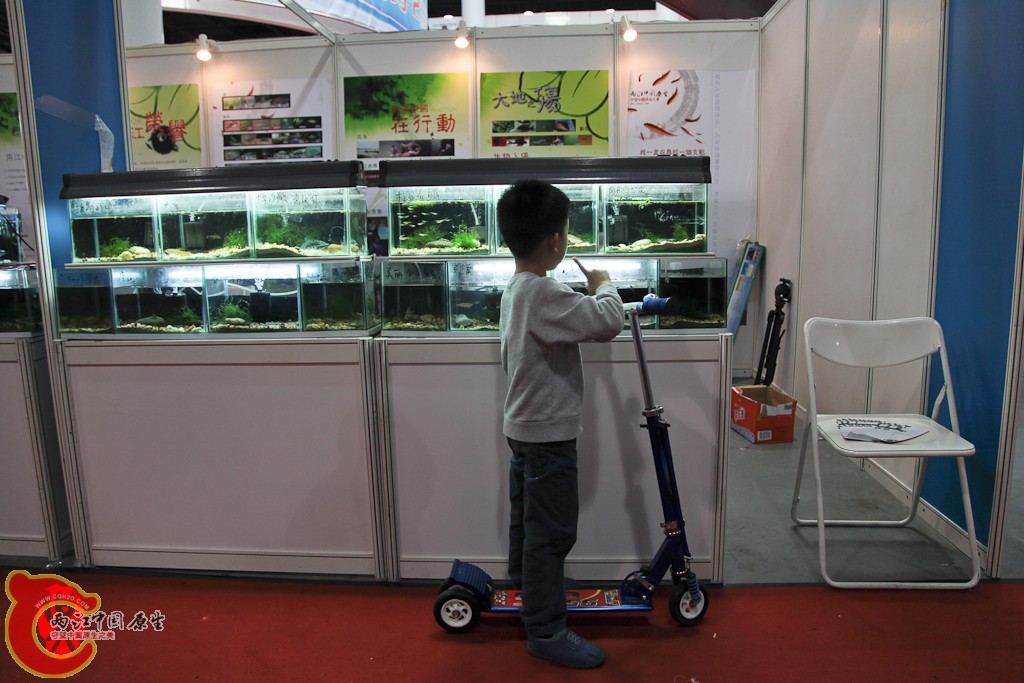 shanghai-53.jpg