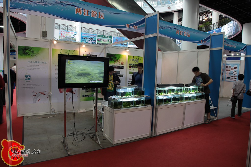 shanghai-54.jpg
