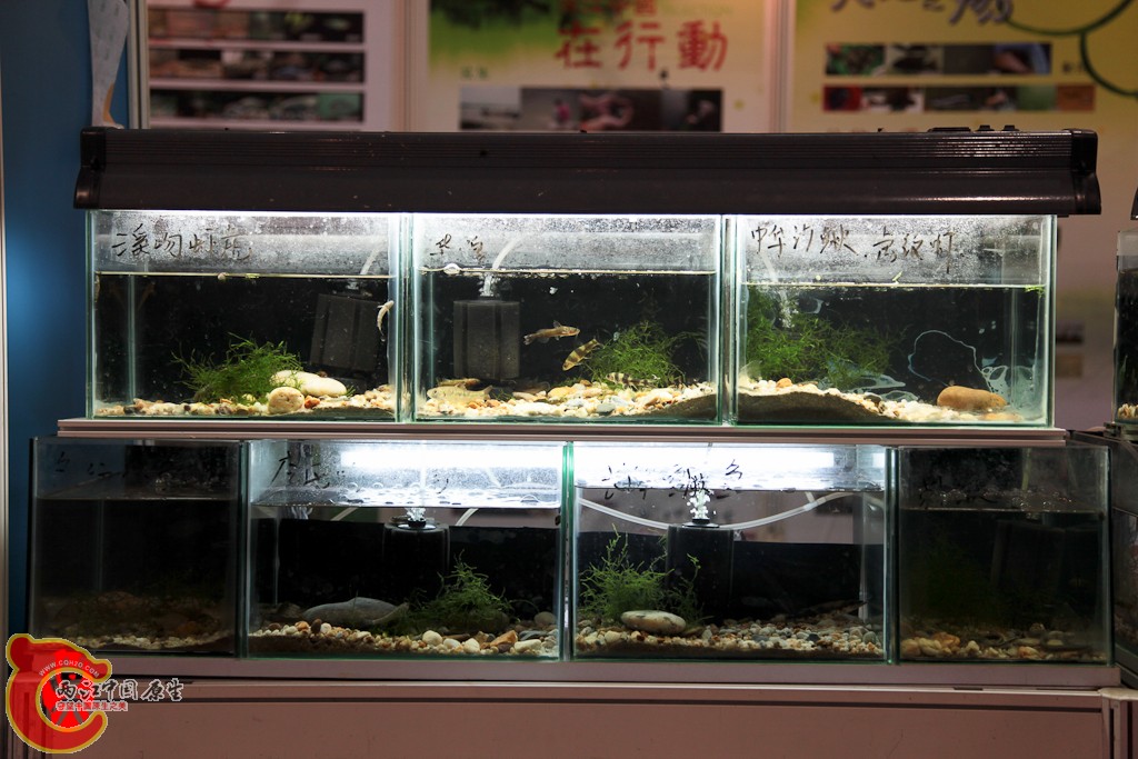 shanghai-58.jpg