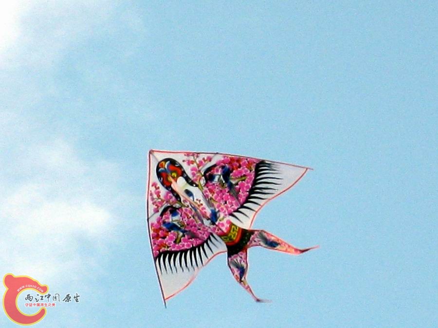 照片 503.jpg