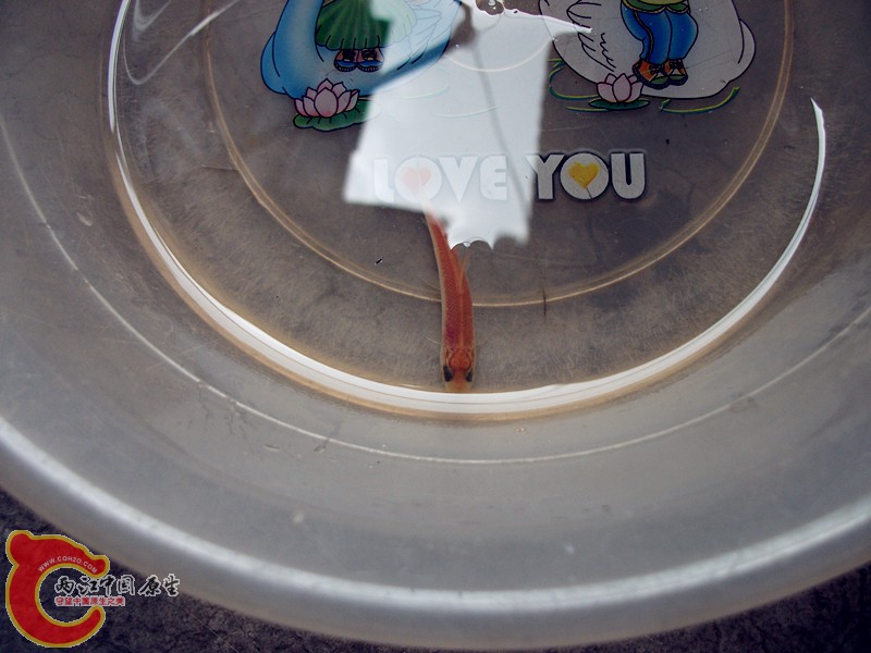 DSCF3610_副本.jpg