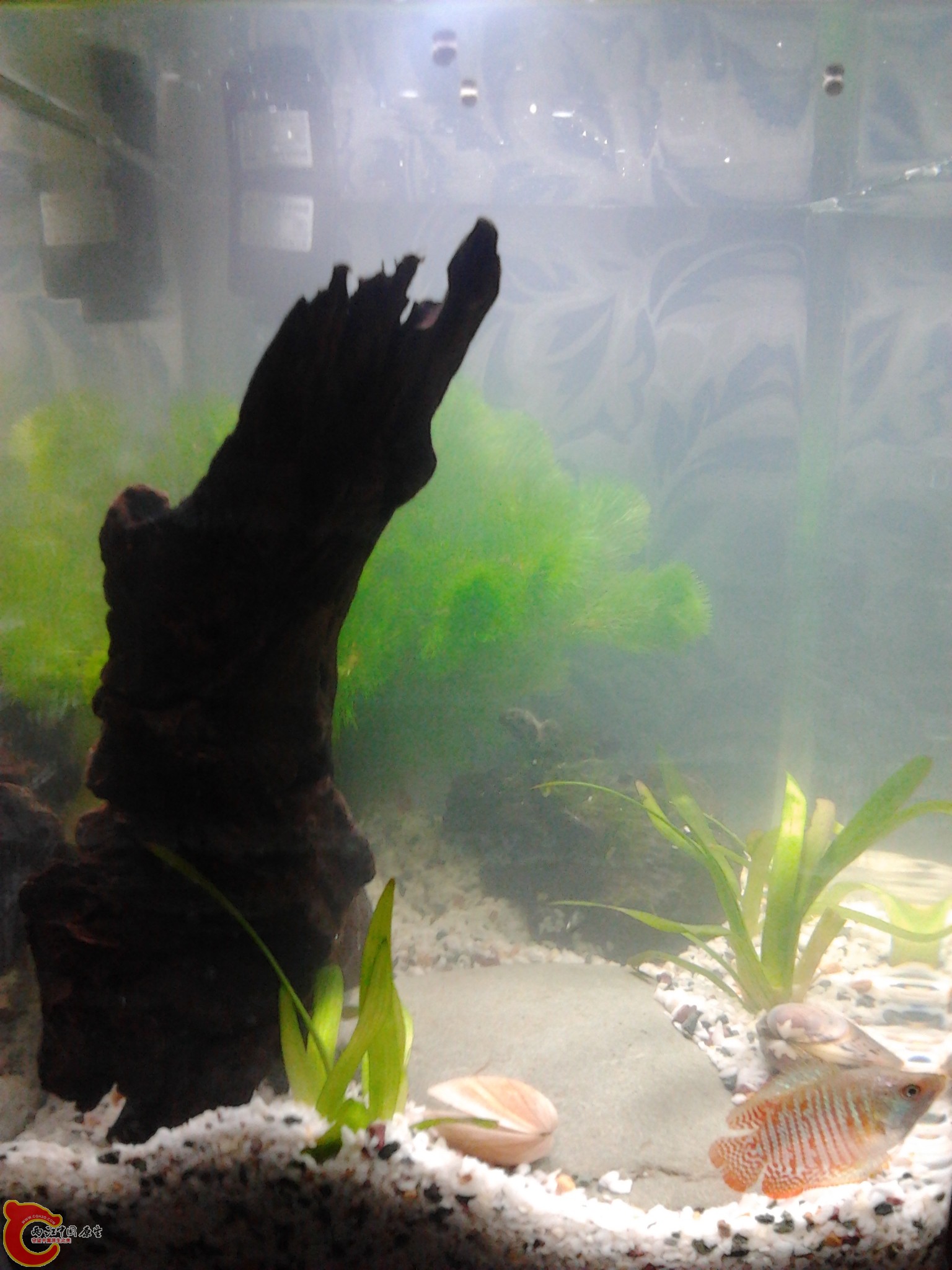 2011-10-23 15.14.43.jpg