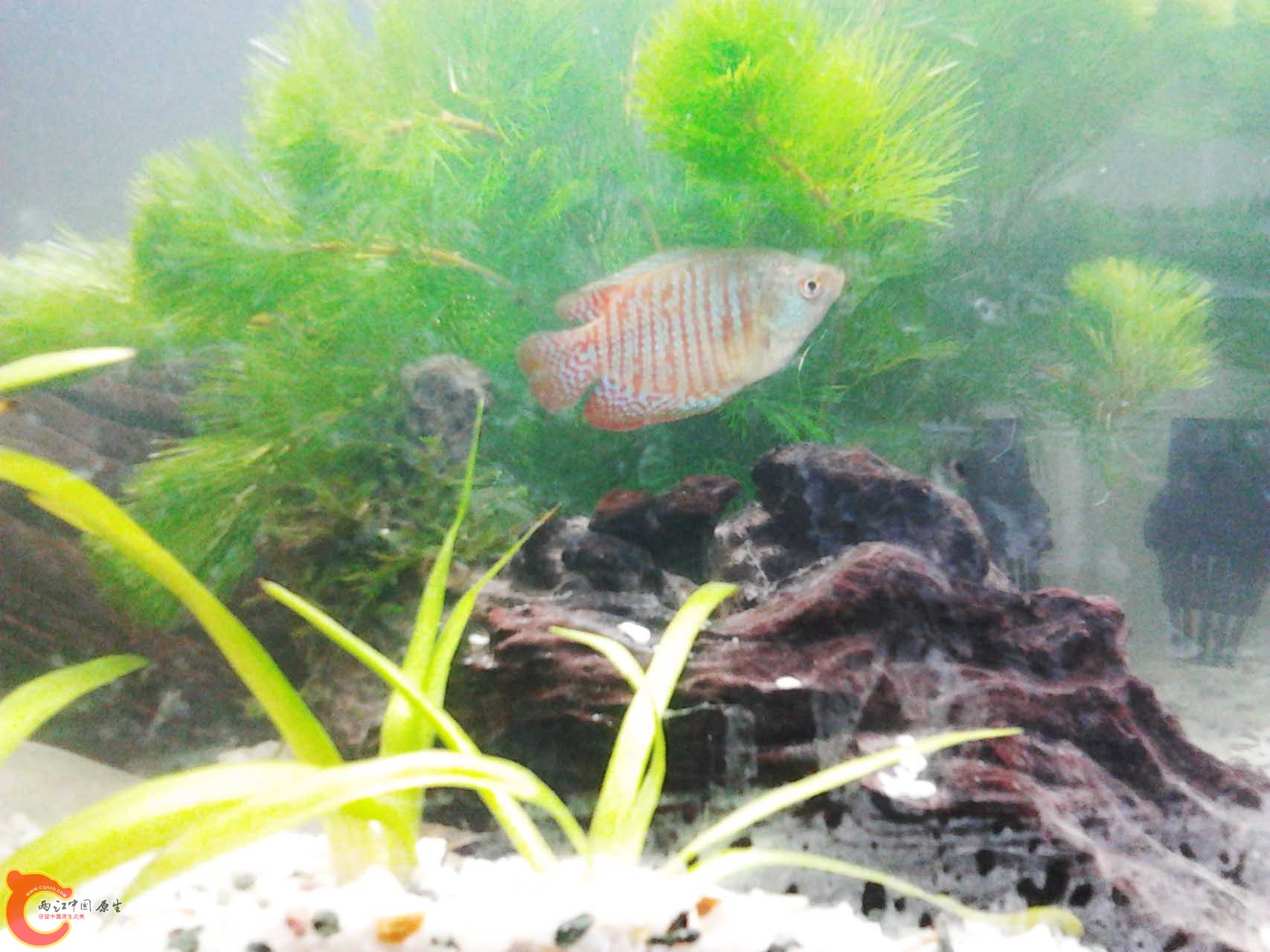 2011-10-23 15.23.49.jpg