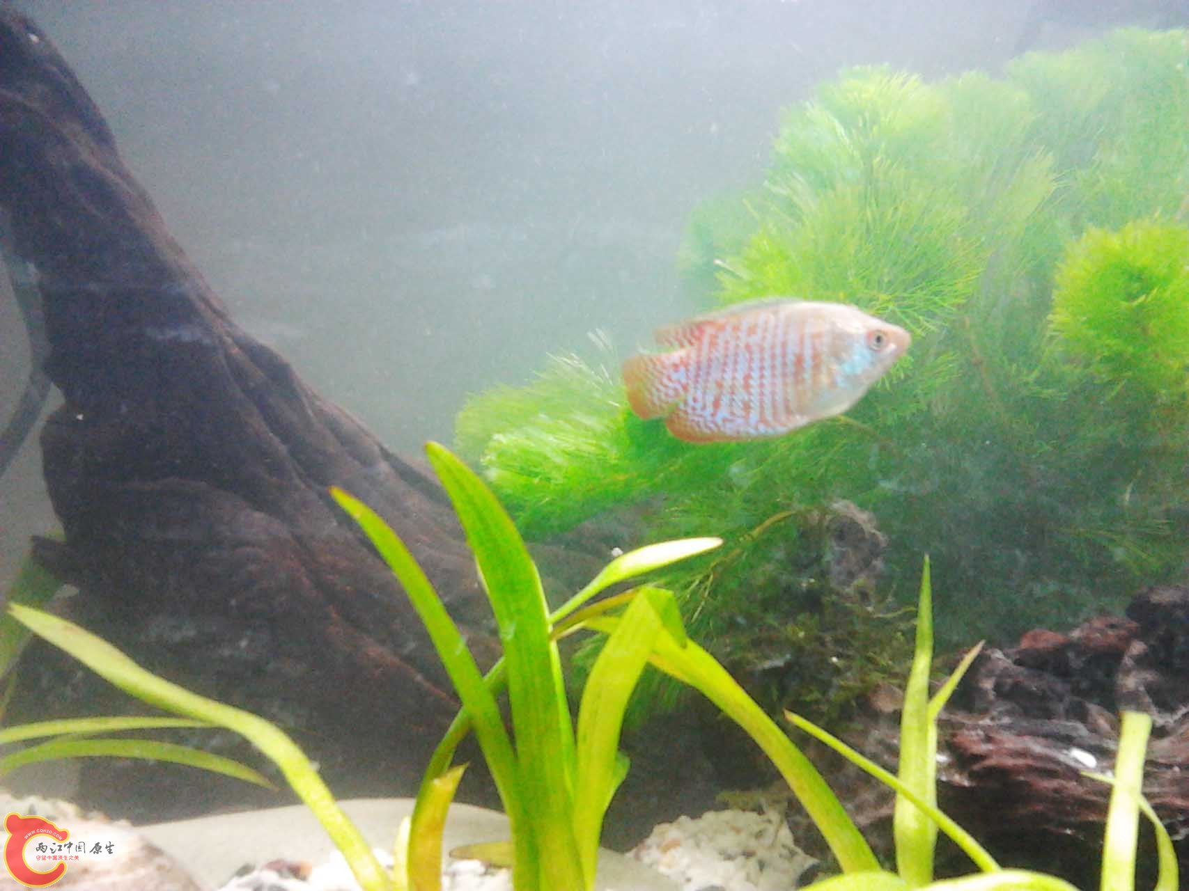 2011-10-23 15.23.43.jpg