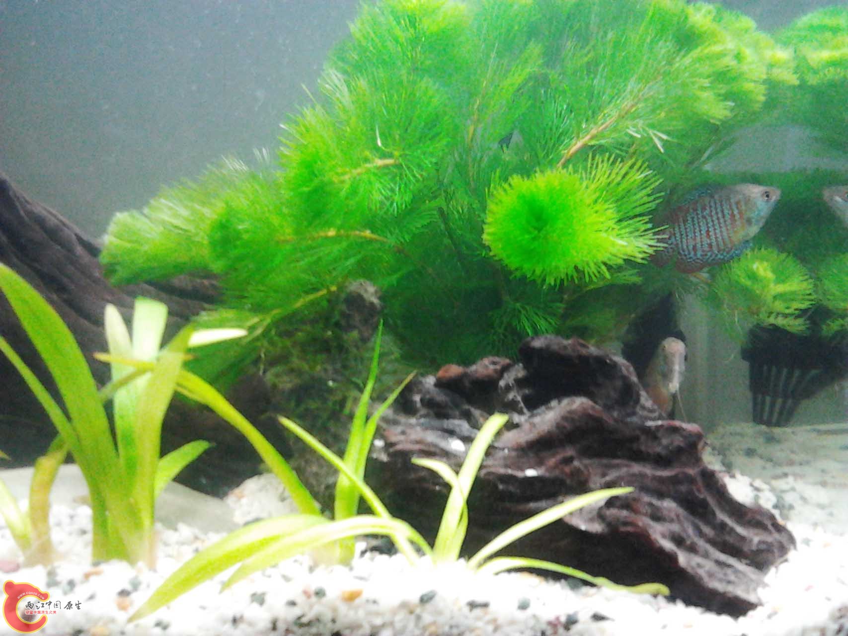 2011-10-23 20.23.17.jpg