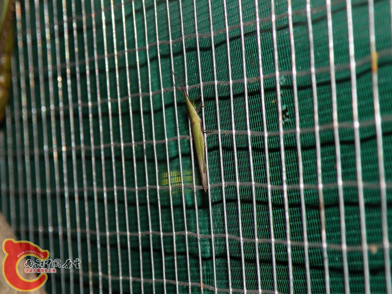 DSCN9230.JPG