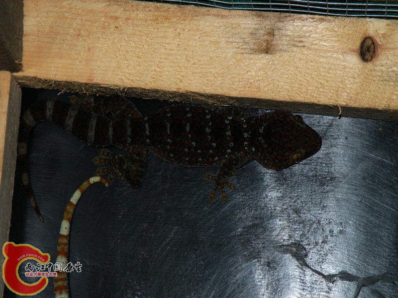 DSCN9227.JPG