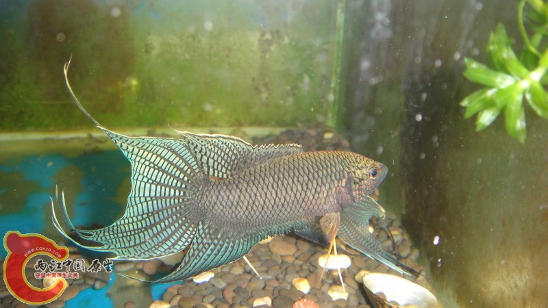 DSC07599_缩小大小.JPG