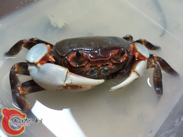 2011-10-24 21.31.58.jpg