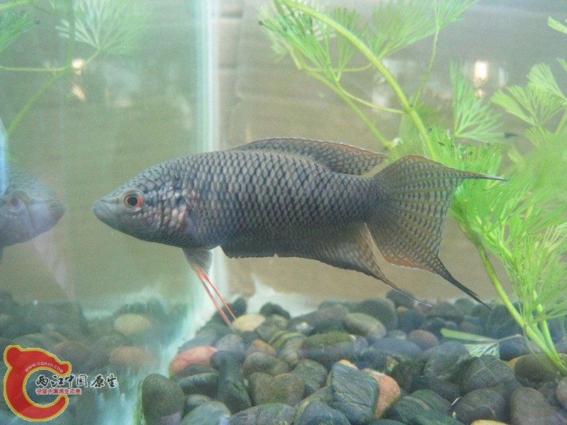 img_0020_副本.jpg