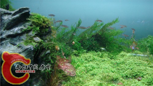 七彩白云山群游.jpg
