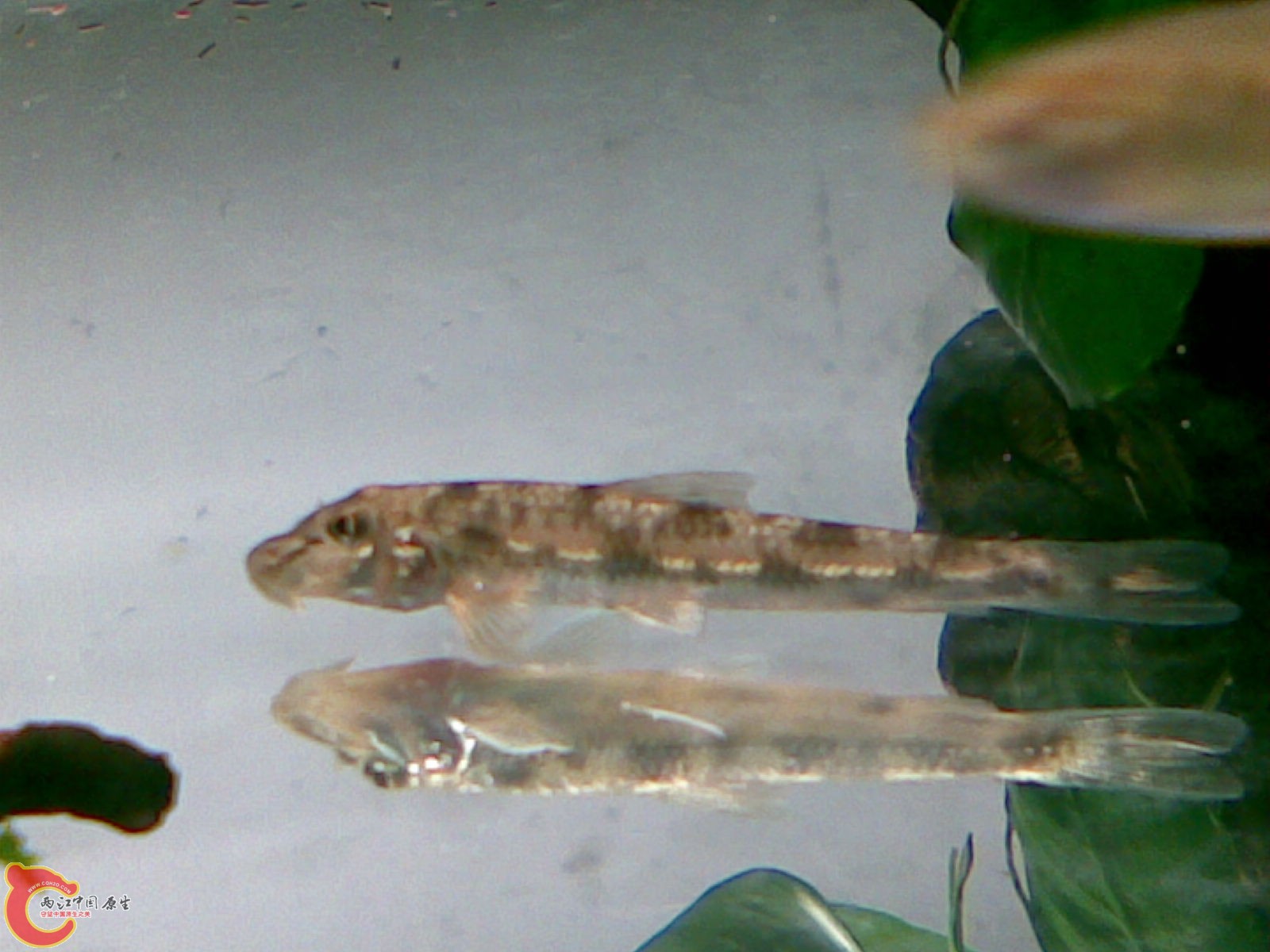 20111029.jpg