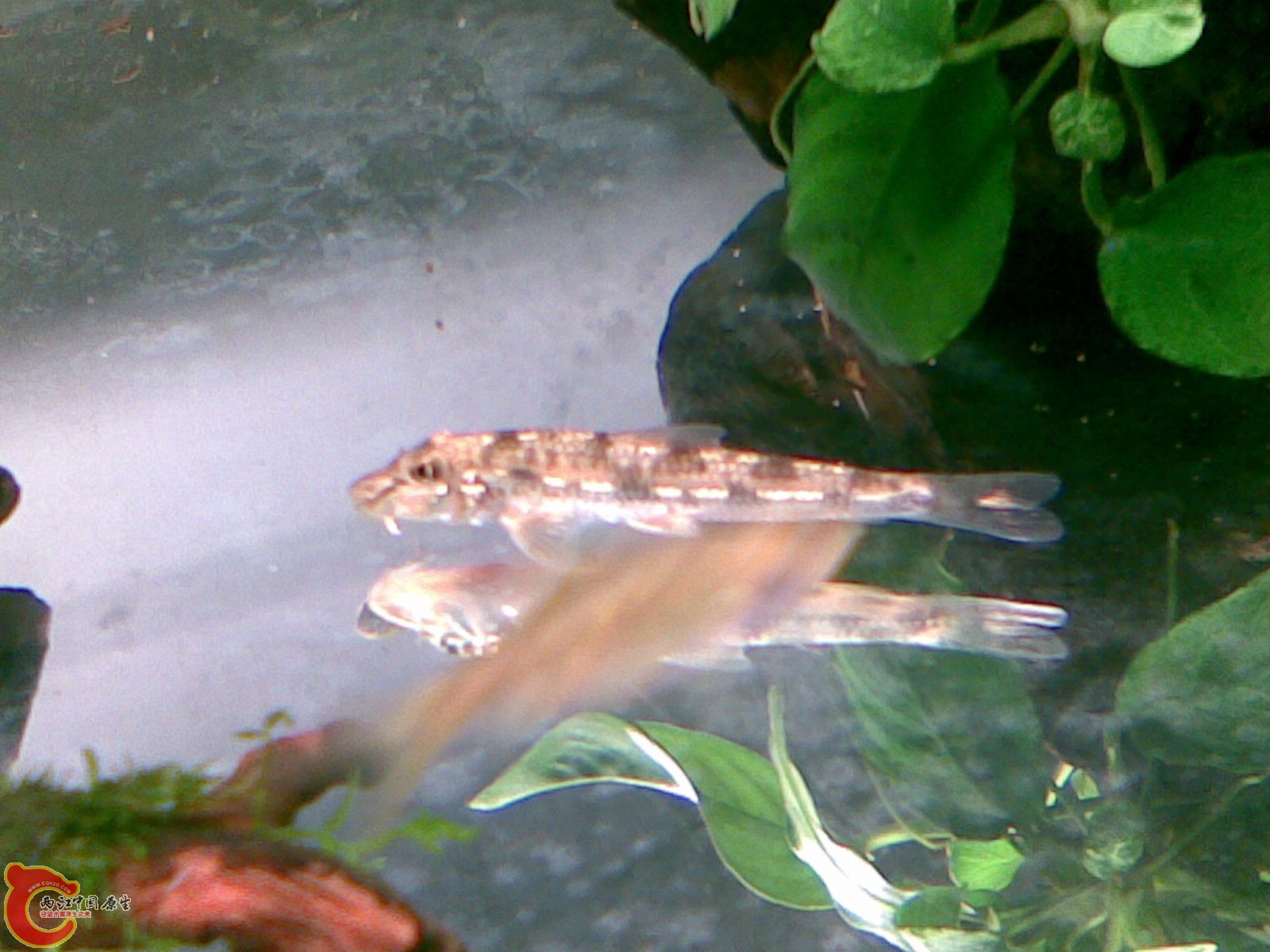 20111029_004.jpg