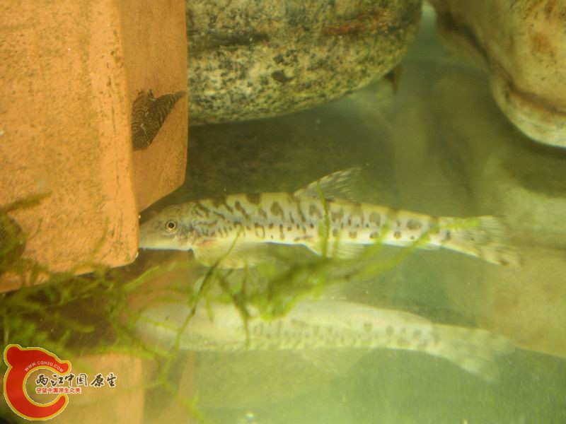PA040427.JPG