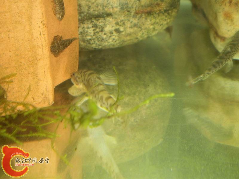 PA040428.JPG